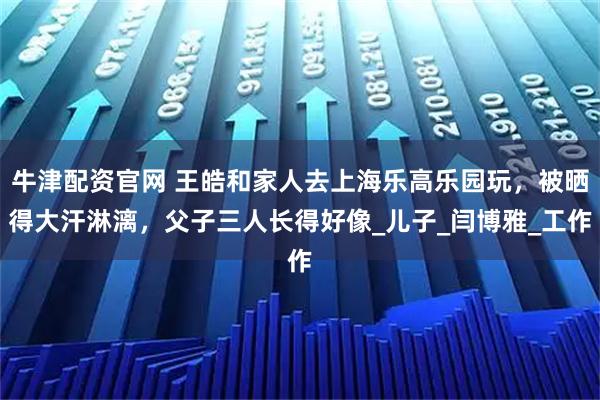牛津配资官网 王皓和家人去上海乐高乐园玩，被晒得大汗淋漓，父子三人长得好像_儿子_闫博雅_工作